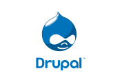 Drupal Developer