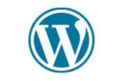 Wordpress Developer